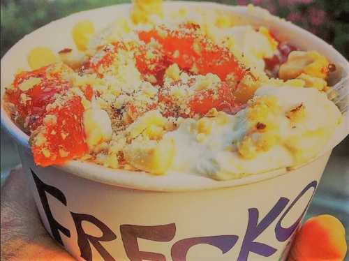 Fresko Yogurt Bar