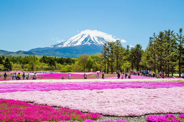 TOP 7 Most Distinctive Japanese Festivals, You've Earned if You Know about Them