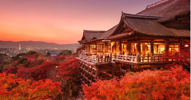 In Nara, The Old Capital of Japan, You Can Experience The True Japan and Appreciate The Cherry Blossoming As Well As The Maples!