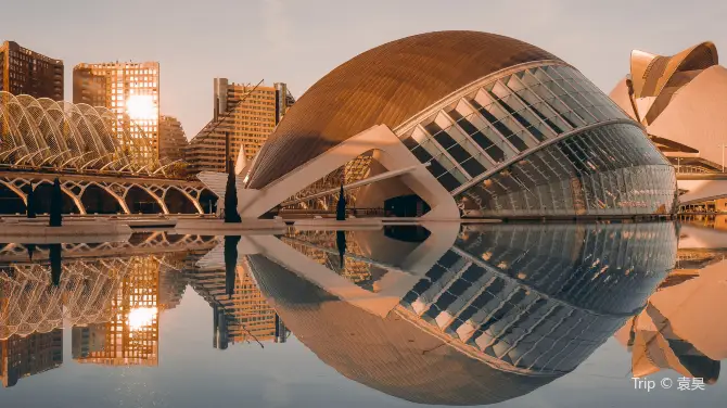 1_City of Arts and Sciences