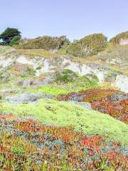 Fort Funston