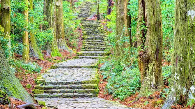 Kumano Kodo - Nakahechi Daimon-saka Pilgrim Route