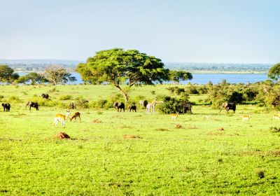 Murchison Falls National Park