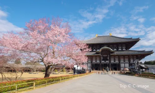 Tōdai-ji