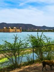 Jal Mahal