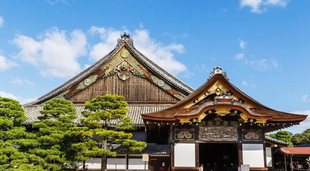 In Nara, The Old Capital of Japan, You Can Experience The True Japan and Appreciate The Cherry Blossoming As Well As The Maples!