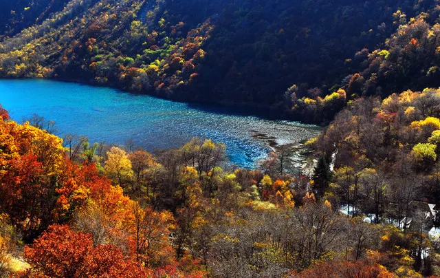 Touring Around Jiuzhaigou, Enjoying The Scenery Of West Sichuan In The Colorful Forests Of Heishui.