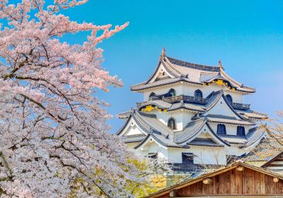 Hikone Castle