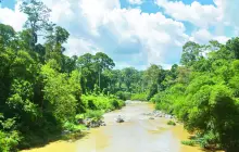 Danum Valley Conservation Area