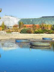 Garfield Park Conservatory