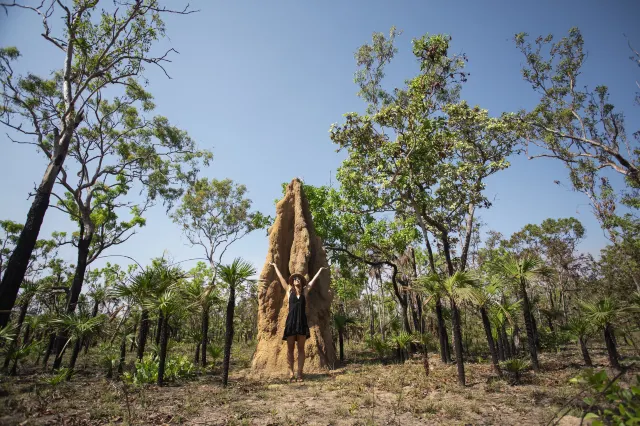 Discover Nature: 15 Most Beautiful Australian National Parks