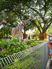 Zoo Negara Malaysia