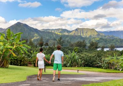 Pulau Kauai