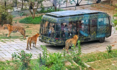 Safari Park Shenzhen