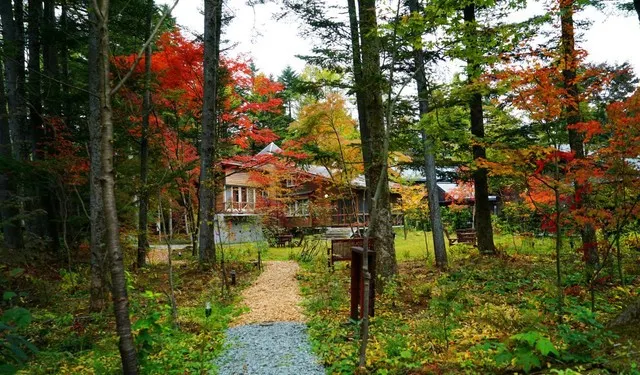 Best Resort in Kanto Region: Take JR from Tokyo to Hakone, Kamakura, Yokohama