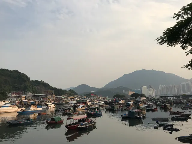 【香港美食推薦】海鮮外賣不新鮮？6個吃海鮮熱點+餐廳推薦💥