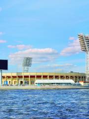 Petrovsky Stadium