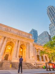 New York Public Library - Stephen A. Schwarzman Building