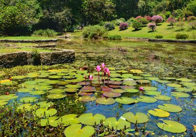 Royal Botanical Garden Peradeniya