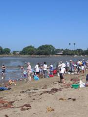 Robert W. Crown Memorial State Beach