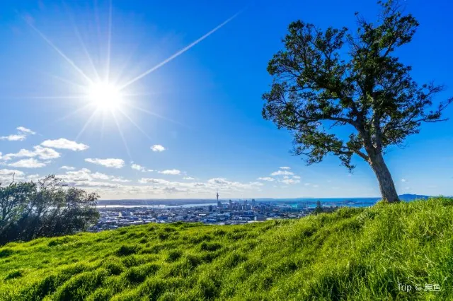 Nature Lovers' Guide to Auckland New Zealand