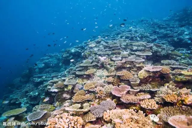 Go to The Okinawa Islands and See The Japan’s First Coast| A Travelers Guide to Miyako Island