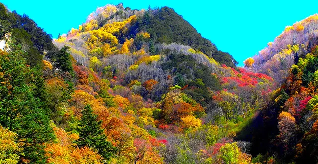 Touring Around Jiuzhaigou, Enjoying The Scenery Of West Sichuan In The Colorful Forests Of Heishui.