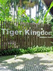 Chiang Mai Tiger Kingdom