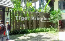 Chiang Mai Tiger Kingdom