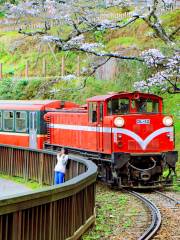 阿里山森林鐵路車庫園區