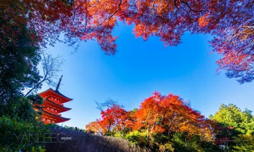 Kiyomizu-dera Temple