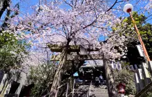 鷲尾愛宕神社