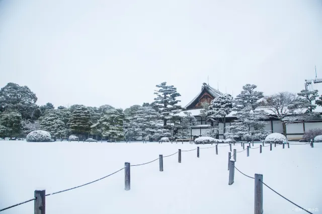 Nijo Castle: Complete guide to Nijo Castle Kyoto 2025