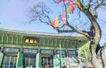 Jogyesa Temple