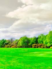 Wimbledon and Putney Commons