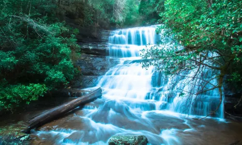 Mount Field National Park