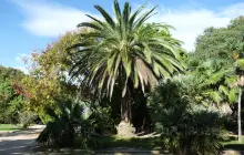 Jardin d'Acclimatation