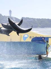 新江ノ島水族館