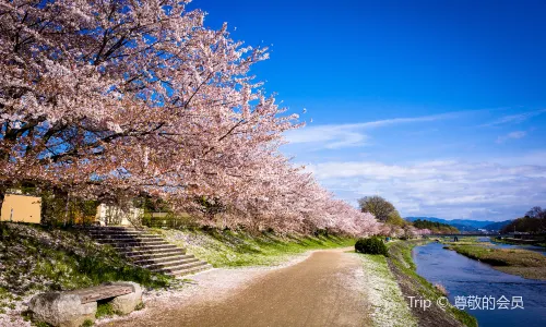 Arashiyama