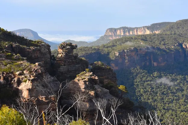 Best Cycling Treks In and Around Sydney For The Adventurous