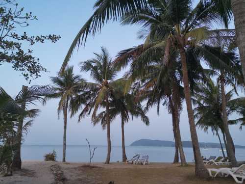 Cherating Beach Bar