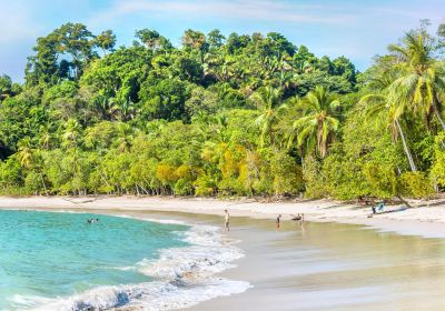 Parc national Manuel-Antonio