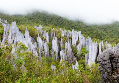 Marudi