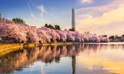 Washington Monument