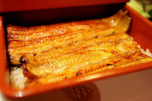  11 Top Eel Rice Restaurants in Tokyo 2025