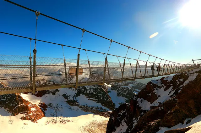 Gallop Among Towering Snowy Mountains with a Panoramic View of the Alps