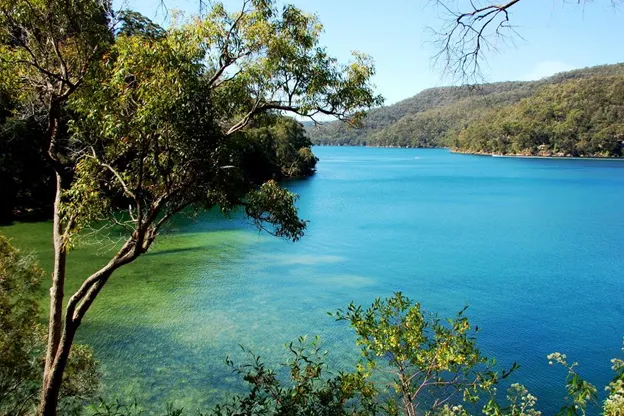 Best Cycling Treks In and Around Sydney For The Adventurous