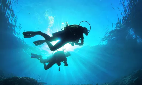 Diving In Kerama Shotō National Park