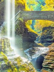 Watkins Glen State Park