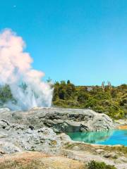 Whakarewarewa - The Living Maori Village